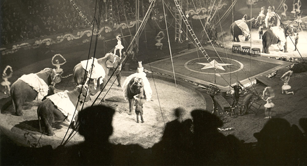 Circus act on stage