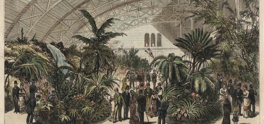 Sketch of the Horticultural (south) wing of Music Hall in 1879