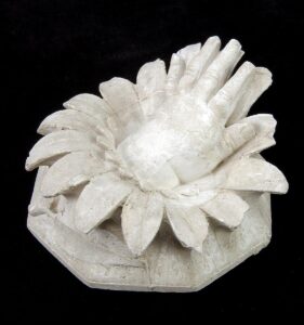 Loulie’s Hand (1839), by Hiram Powers & Remigo Peschi, Smithsonian American Art Museum.